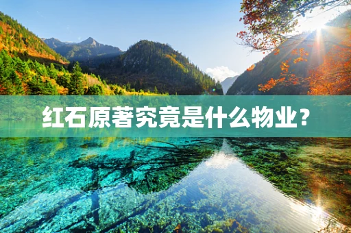 红石原著究竟是什么物业？