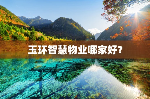 玉环智慧物业哪家好？