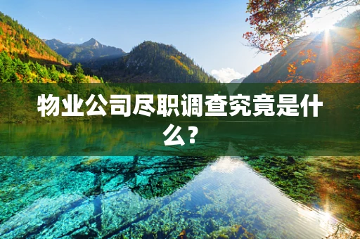 物业公司尽职调查究竟是什么？
