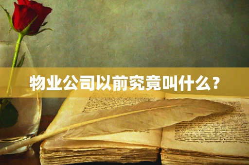 物业公司以前究竟叫什么？