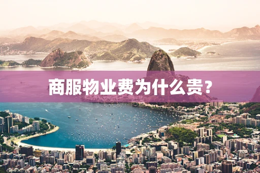 商服物业费为什么贵？