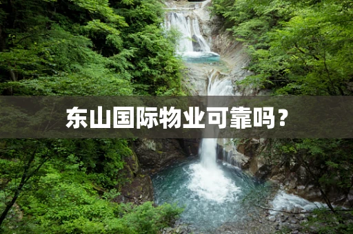 东山国际物业可靠吗？