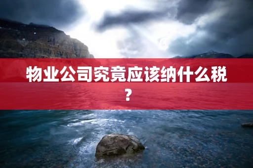 物业公司究竟应该纳什么税？