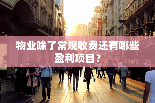 物业除了常规收费还有哪些盈利项目？