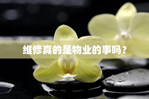 维修真的是物业的事吗？