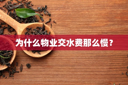 为什么物业交水费那么慢？