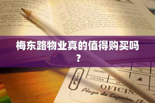 梅东路物业真的值得购买吗？